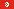 Tunisia national flag