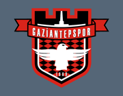 Team_Logo